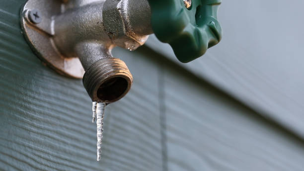 Best Gas Line Repair  in Mayo, FL